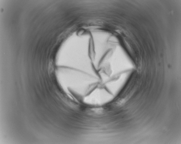 X0000069400478200606091746