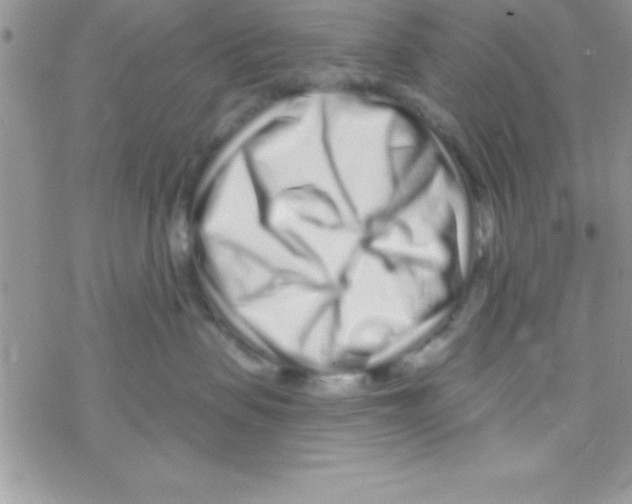 X0000069400479200606091746