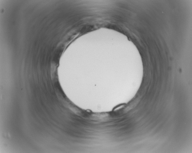 X0000069400480200606091746