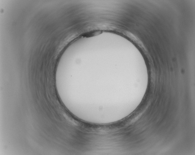 X0000069400481200606091745