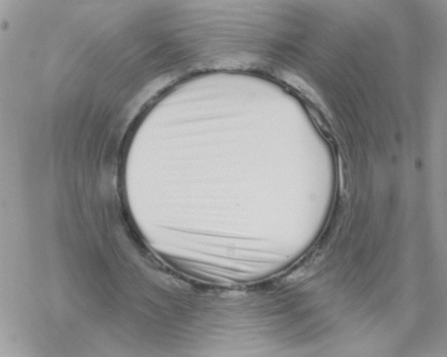 X0000069400483200606091745