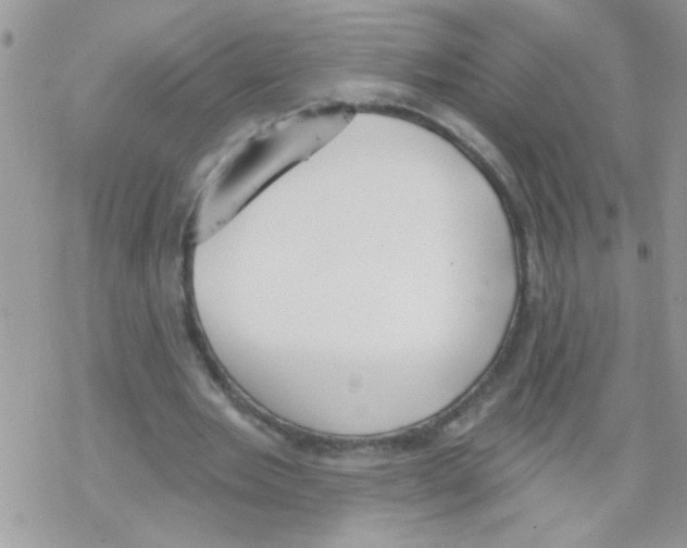 X0000069400485200606091745