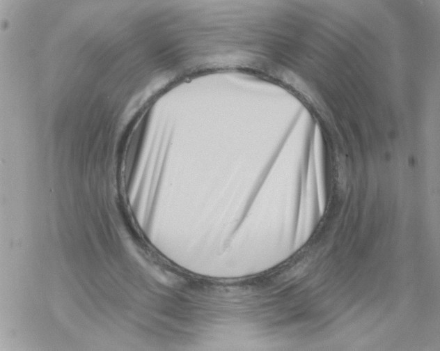 X0000069400486200606091745