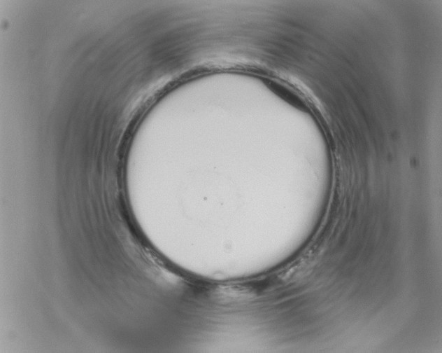 X0000069400487200606091745