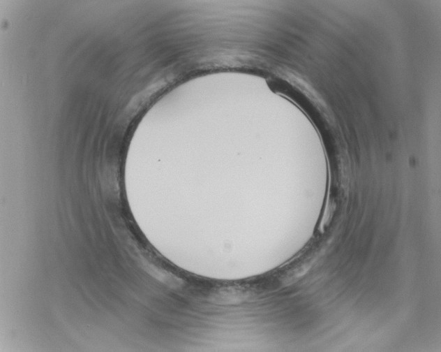 X0000069400489200606091745