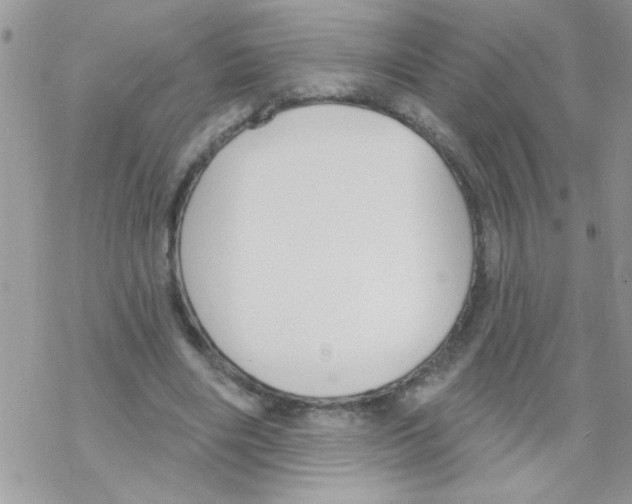 X0000069400490200606091745