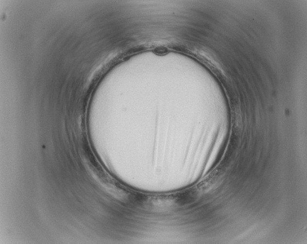 X0000069400491200606091745