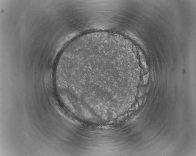 X0000069400492200606091745