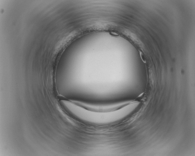 X0000069400493200606091745