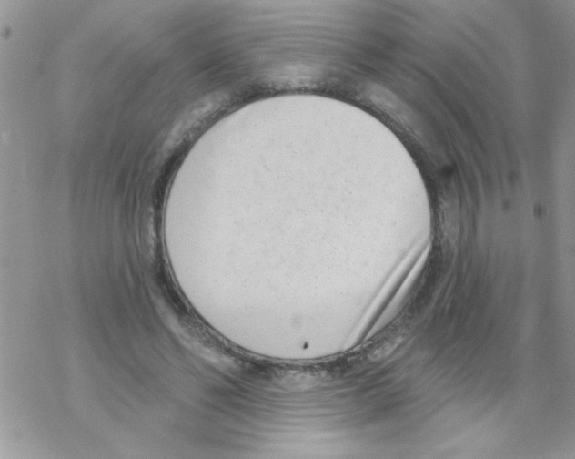 X0000069400494200606091745