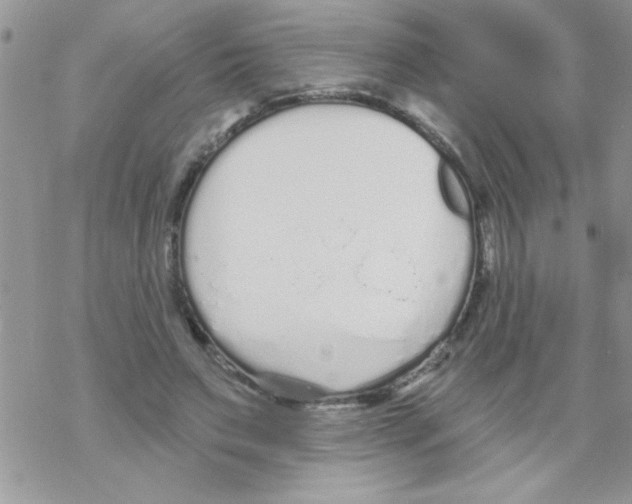 X0000069400495200606091745