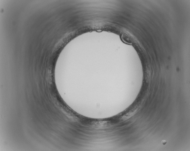 X0000069400497200606091745