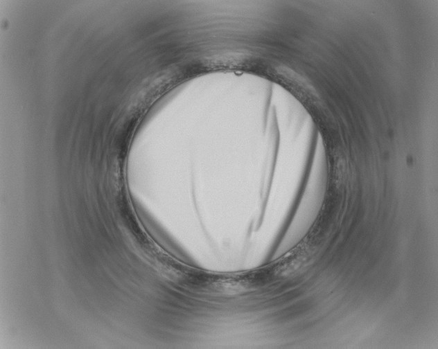 X0000069400498200606091745