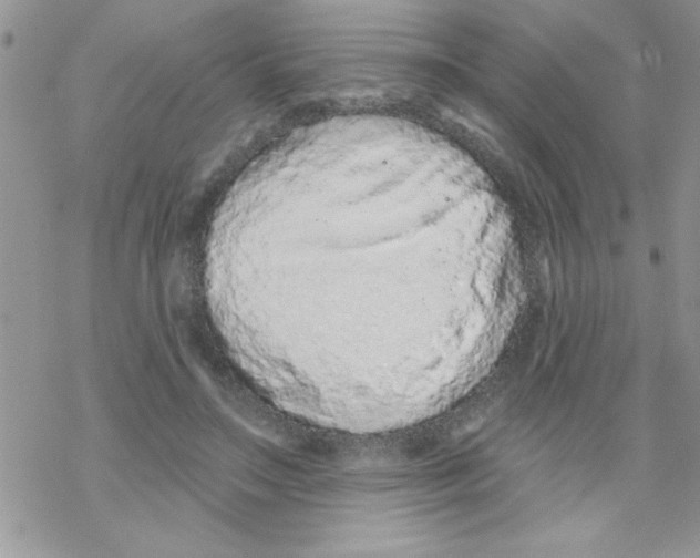 X0000069400499200606091745