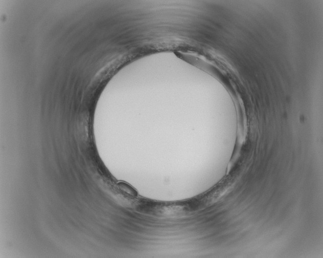 X0000069400501200606091745