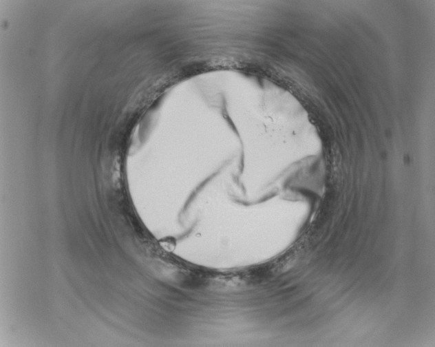 X0000069400502200606091745