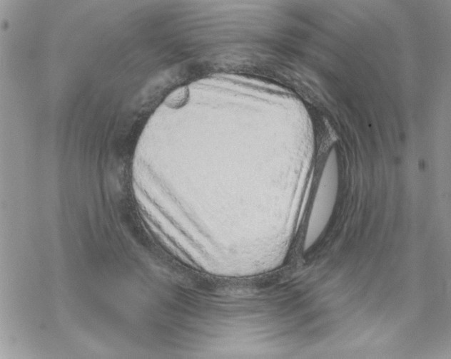 X0000069400503200606091745