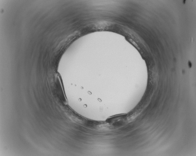 X0000069400505200606091745