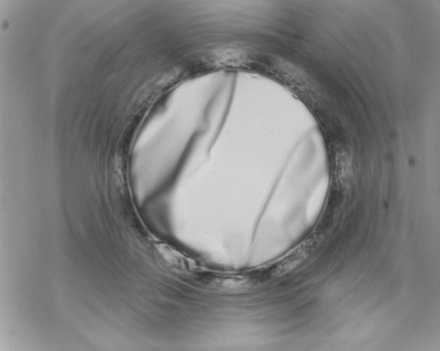 X0000069400506200606091745