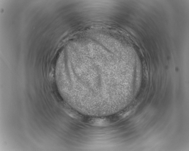 X0000069400507200606091745