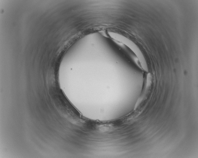 X0000069400508200606091745