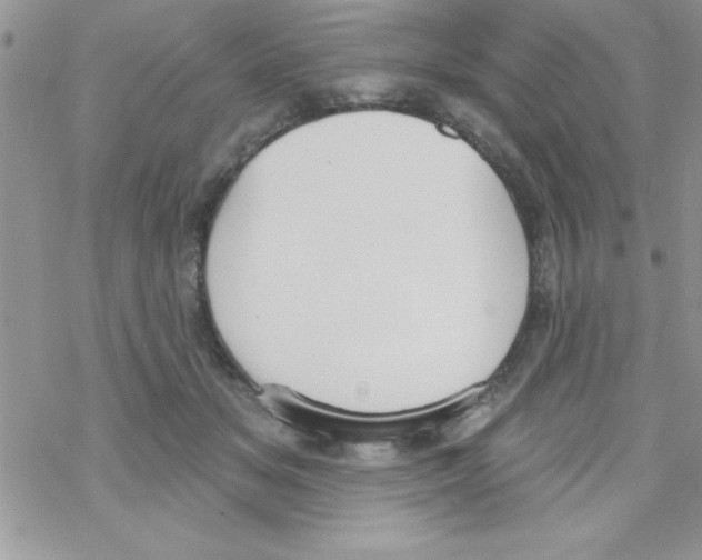 X0000069400509200606091745