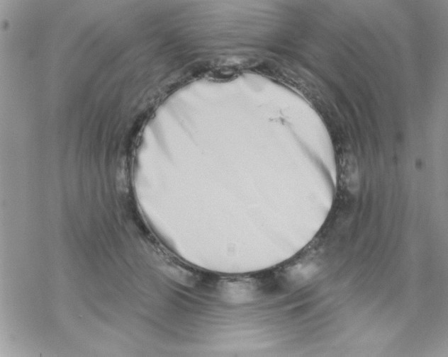 X0000069400510200606091745