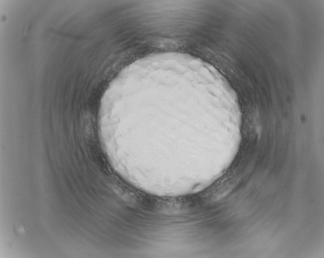 X0000069400511200606091745