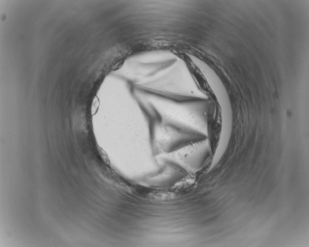 X0000069400512200606091745