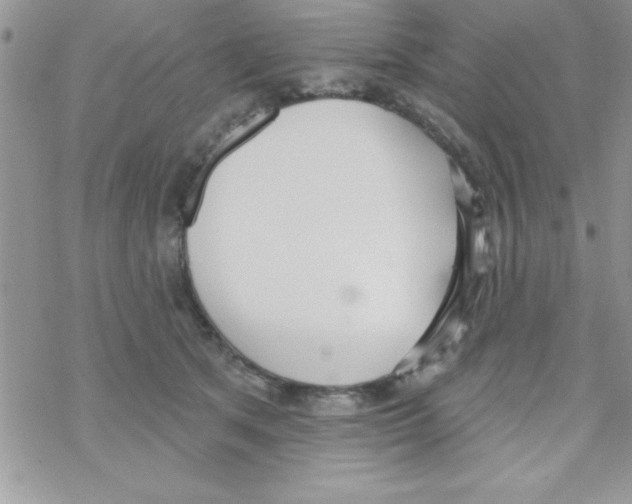 X0000069400513200606091745