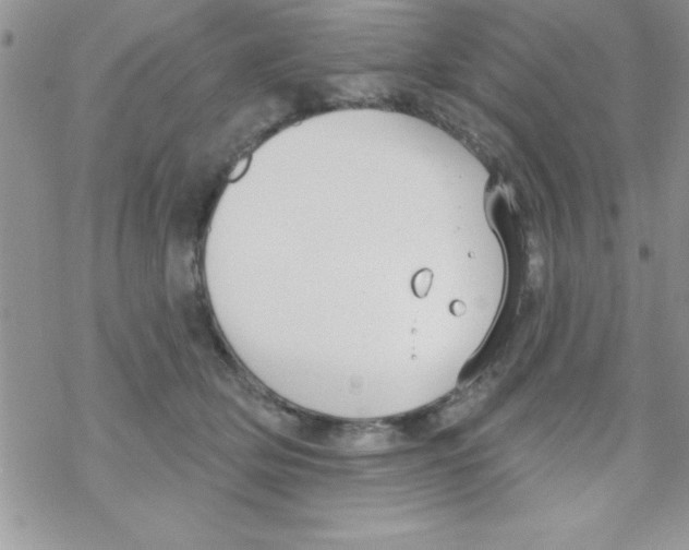 X0000069400514200606091745