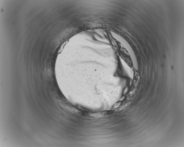 X0000069400516200606091745