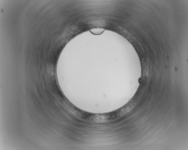 X0000069400518200606091745