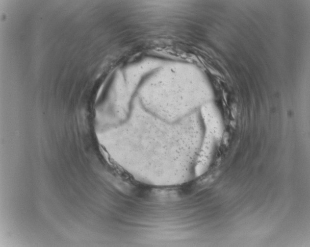 X0000069400520200606091745