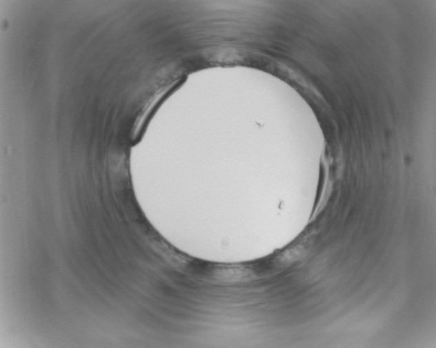 X0000069400521200606091745