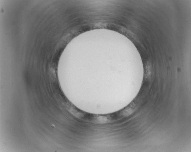 X0000069400522200606091745