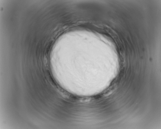 X0000069400523200606091745