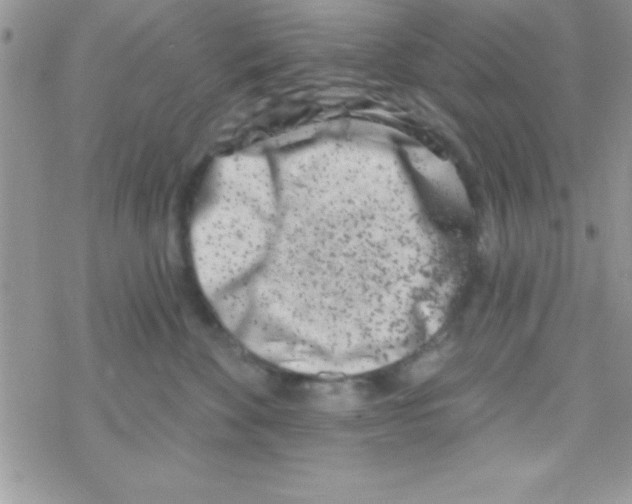 X0000069400524200606091745