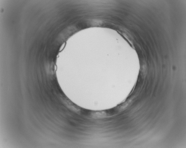 X0000069400525200606091745