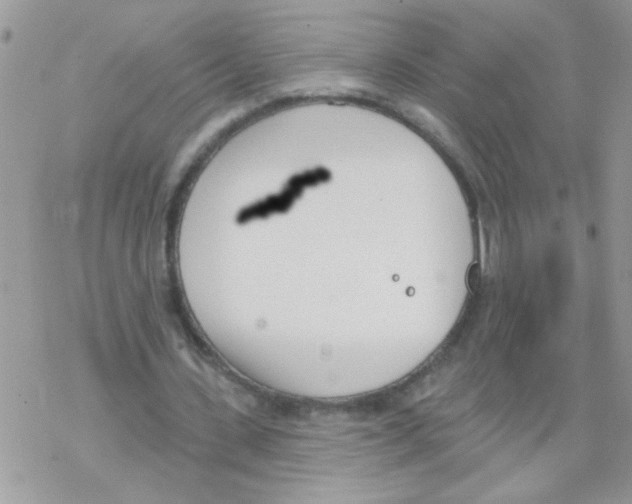 X0000069400531200606091744