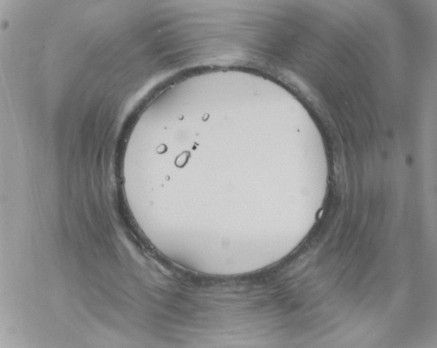 X0000069400532200606091744