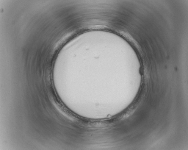 X0000069400533200606091744