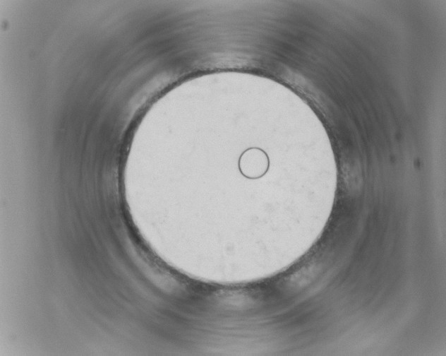 X0000069400534200606091744