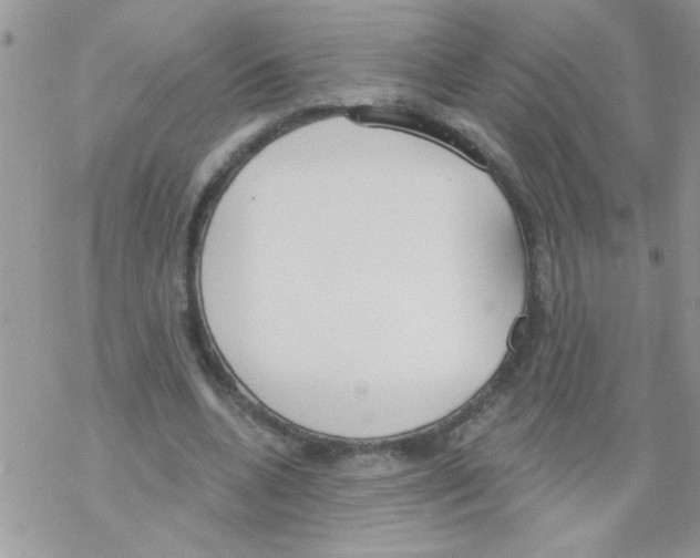 X0000069400536200606091744