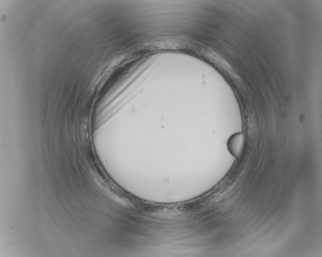 X0000069400537200606091744