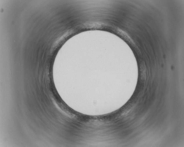 X0000069400538200606091744