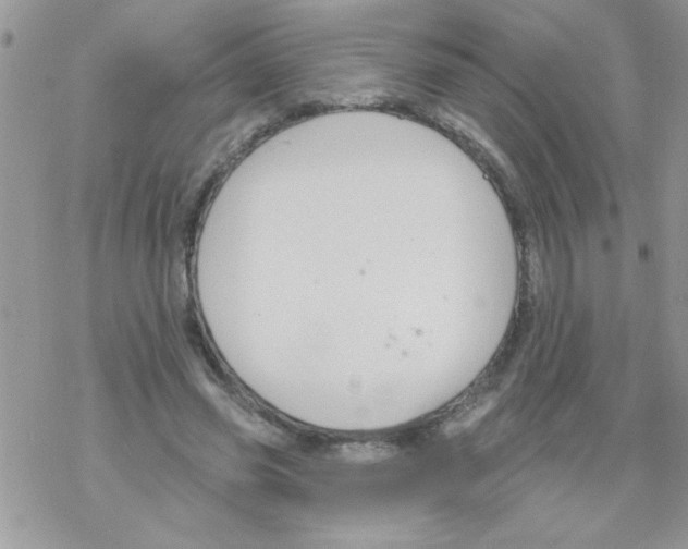 X0000069400541200606091744