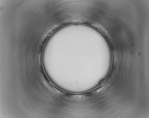 X0000069400542200606091744