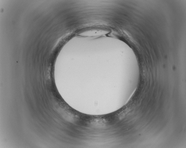 X0000069400543200606091744