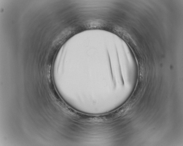 X0000069400545200606091744